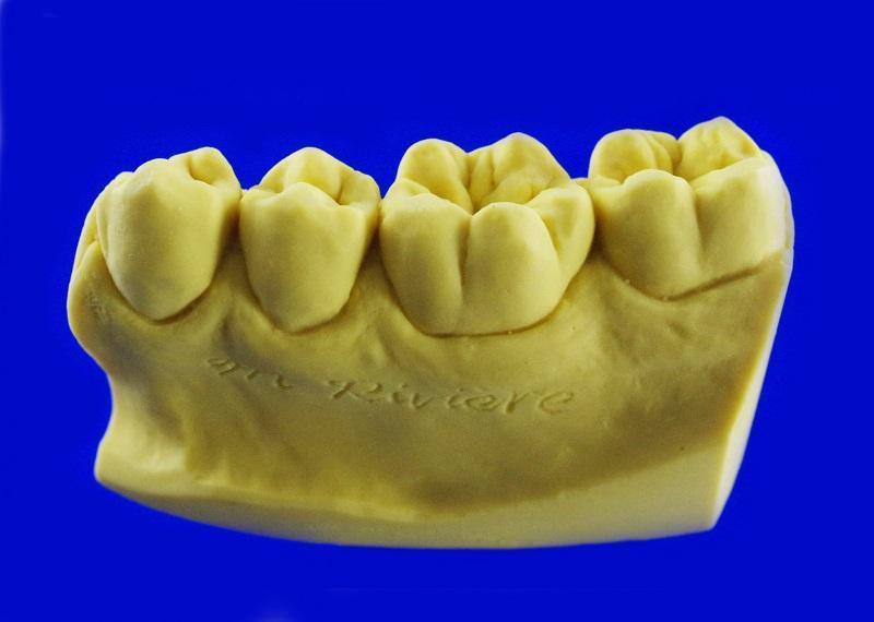 石膏棒を用いた歯型彫刻を一切行わない実習生のための基礎訓練